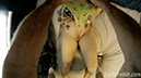 KymberlyJaneWedgie08POV_29